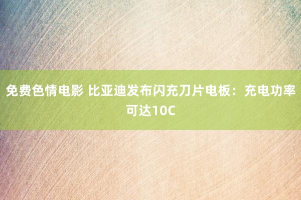 免费色情电影 比亚迪发布闪充刀片电板：充电功率可达10C