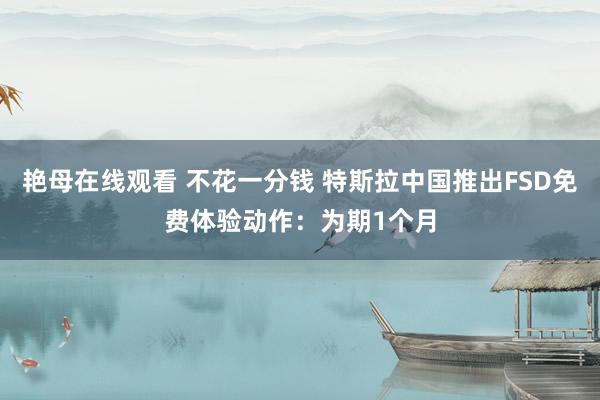 艳母在线观看 不花一分钱 特斯拉中国推出FSD免费体验动作：为期1个月