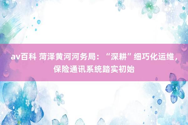 av百科 菏泽黄河河务局：“深耕”细巧化运维，保险通讯系统踏实初始