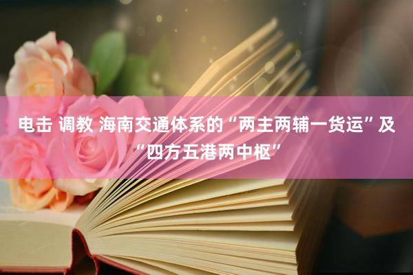 电击 调教 海南交通体系的“两主两辅一货运”及“四方五港两中枢”