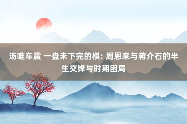 汤唯车震 一盘未下完的棋: 周恩来与蒋介石的半生交锋与时期困局