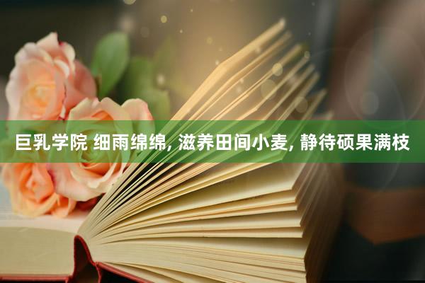 巨乳学院 细雨绵绵, 滋养田间小麦, 静待硕果满枝