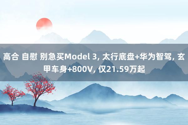 高合 自慰 别急买Model 3, 太行底盘+华为智驾, 玄甲车身+800V, 仅21.59万起