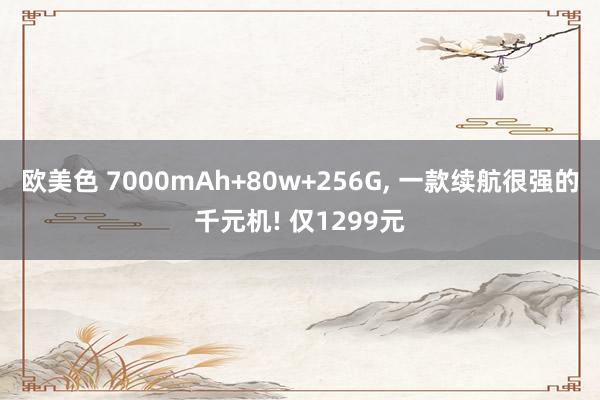 欧美色 7000mAh+80w+256G, 一款续航很强的千元机! 仅1299元