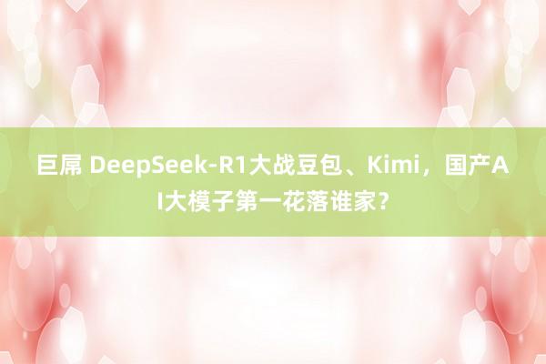 巨屌 DeepSeek-R1大战豆包、Kimi，国产AI大模子第一花落谁家？