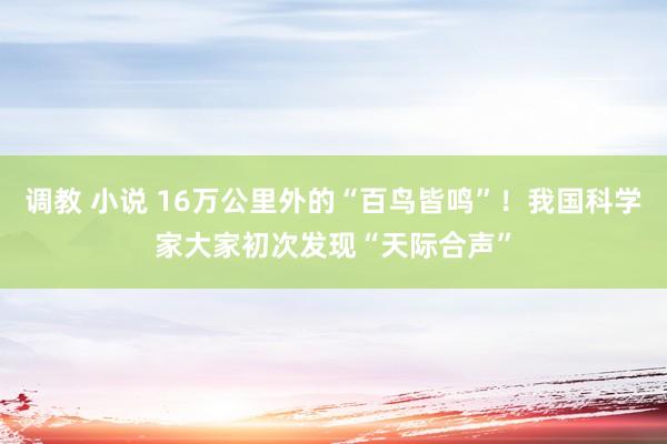 调教 小说 16万公里外的“百鸟皆鸣”！我国科学家大家初次发现“天际合声”