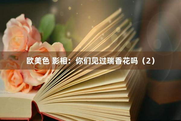 欧美色 影相：你们见过瑞香花吗（2）