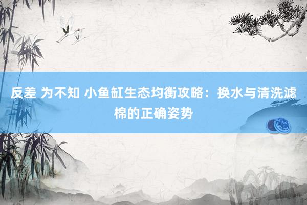 反差 为不知 小鱼缸生态均衡攻略：换水与清洗滤棉的正确姿势
