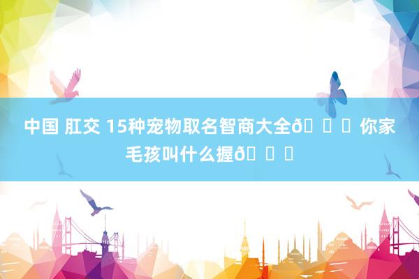 中国 肛交 15种宠物取名智商大全🌟你家毛孩叫什么握🌈