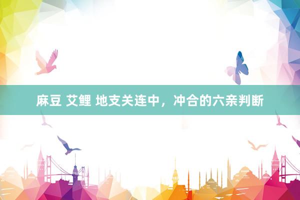 麻豆 艾鲤 地支关连中，冲合的六亲判断