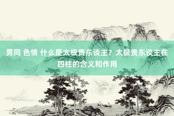 男同 色情 什么是太极贵东谈主？太极贵东谈主在四柱的含义和作用