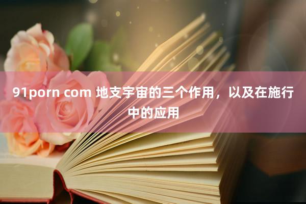 91porn com 地支宇宙的三个作用，以及在施行中的应用