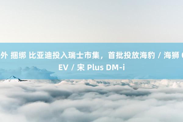 户外 捆绑 比亚迪投入瑞士市集，首批投放海豹 / 海狮 07EV / 宋 Plus DM-i